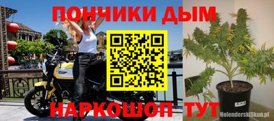 прущие крисы Дубна