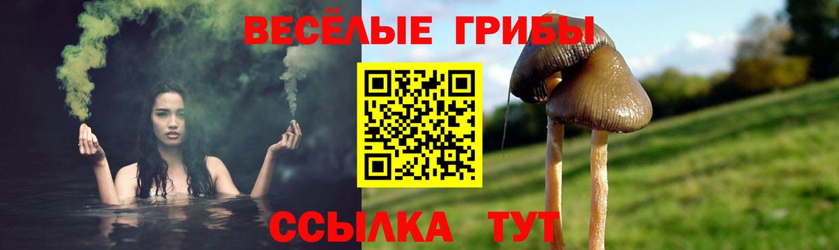 Метадон Кисловодск