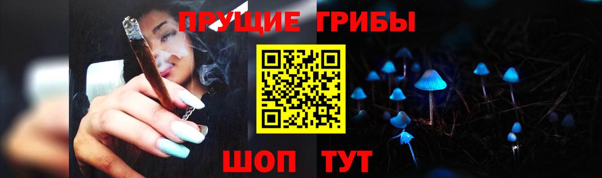 Псилоцибиновые грибы Psilocybine cubensis Кисловодск